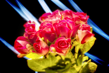 Image showing Bunch of red roses
