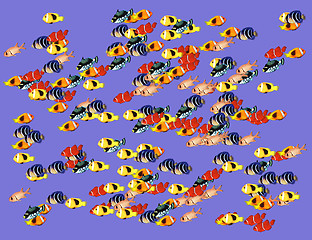 Image showing Fishes against blue background. From The Nature background series