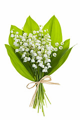 Image showing Lily-of-the-valley flowers on white