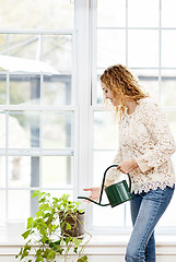 Image showing Smiling woman watering plant at home