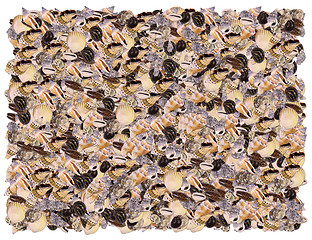 Image showing Seashells background. From The Nature background series