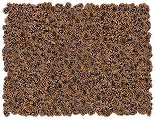 Image showing Pinecones background. From The Nature background series