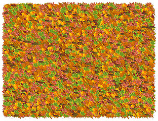 Image showing Leaves background. From The Nature background series