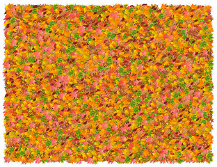 Image showing Leaves background. From The Nature background series