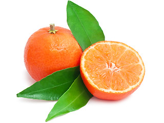 Image showing Tangerines