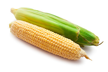 Image showing Corn