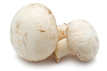 Image showing Champignon mushrooms