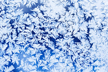 Image showing Frost pattern