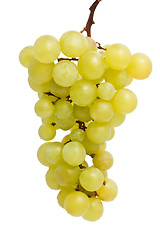 Image showing Grapes