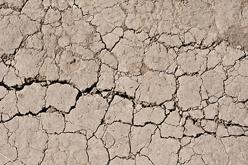 Image showing Dry land