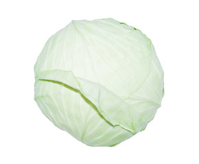 Image showing Cabbage