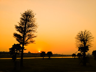 Image showing Silhouette Tree 