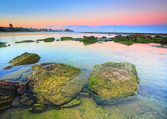 Image showing Moss covered rocks on the reef shelf, Australia