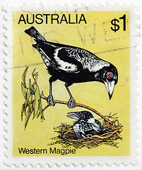 Image showing Western Magpie Stamp