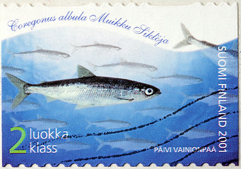 Image showing European Cisco Stamp
