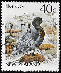 Image showing Blue Duck Stamp