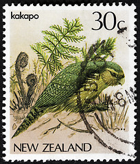 Image showing Kakapo Stamp
