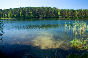 Image showing Landscape at the lake