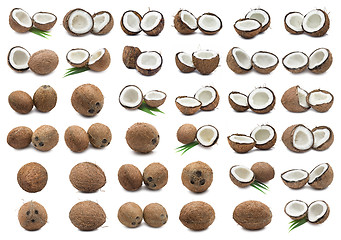 Image showing Coconuts