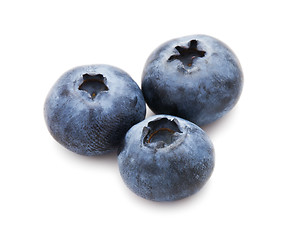 Image showing Blueberry