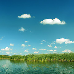 Image showing summer pond - vintage retro style