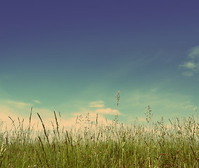 Image showing green grass under blue sky - vintage retro style