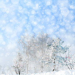 Image showing winter landscape with snowfall