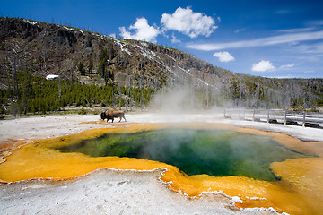 Image showing yellowstone