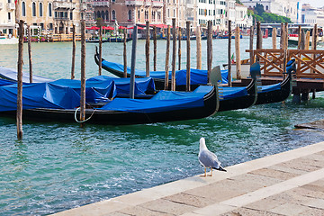 Image showing Gondolas in Venice