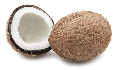 Image showing Coconut