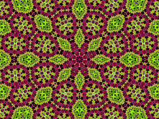 Image showing Chrysanthemum natural pattern