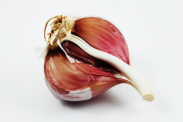 Image showing closeup of clove garlic