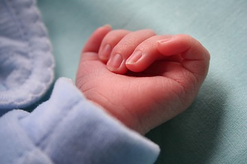 Image showing Baby's hand