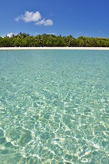 Image showing tropical beach