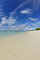 Image showing tropical beach