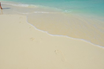 Image showing tropical beach