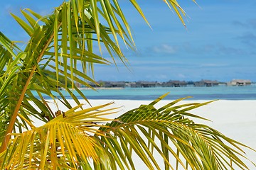 Image showing tropical beach