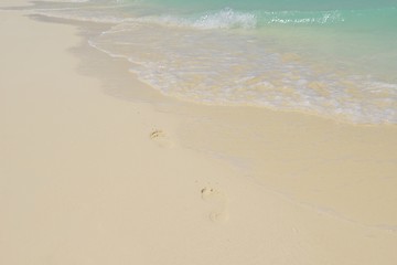 Image showing tropical beach