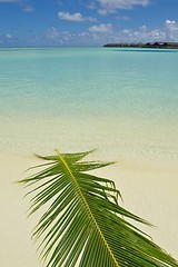 Image showing tropical beach