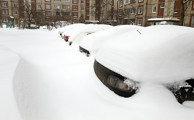 Image showing Cars Covered with Snow