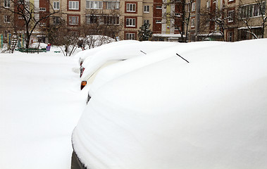 Image showing Cars Covered with Snow