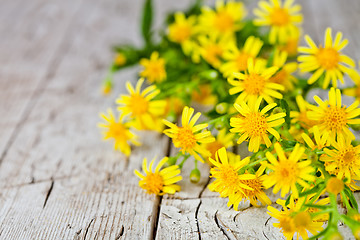 Image showing wild yellow flowers 