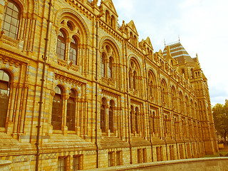 Image showing Retro looking Natural History Museum, London, UK