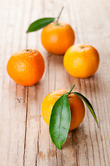 Image showing tangerines with leaves