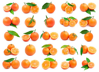 Image showing Mandarins