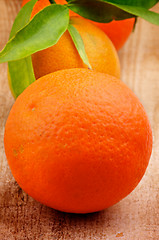 Image showing Tangerines