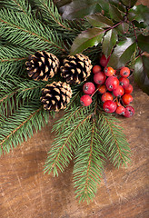 Image showing Pine branches with Christmas berries