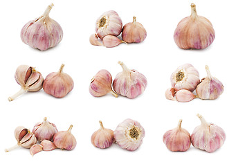 Image showing Garlic