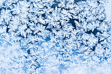 Image showing Frost pattern