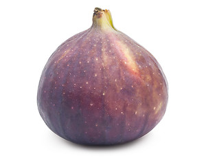 Image showing Fig